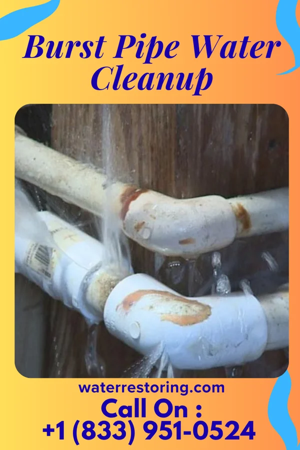Burst Pipe Water Cleanup in Gem Lake, MN