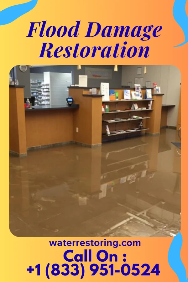 Flood Damage Restoration in Gem Lake, MN