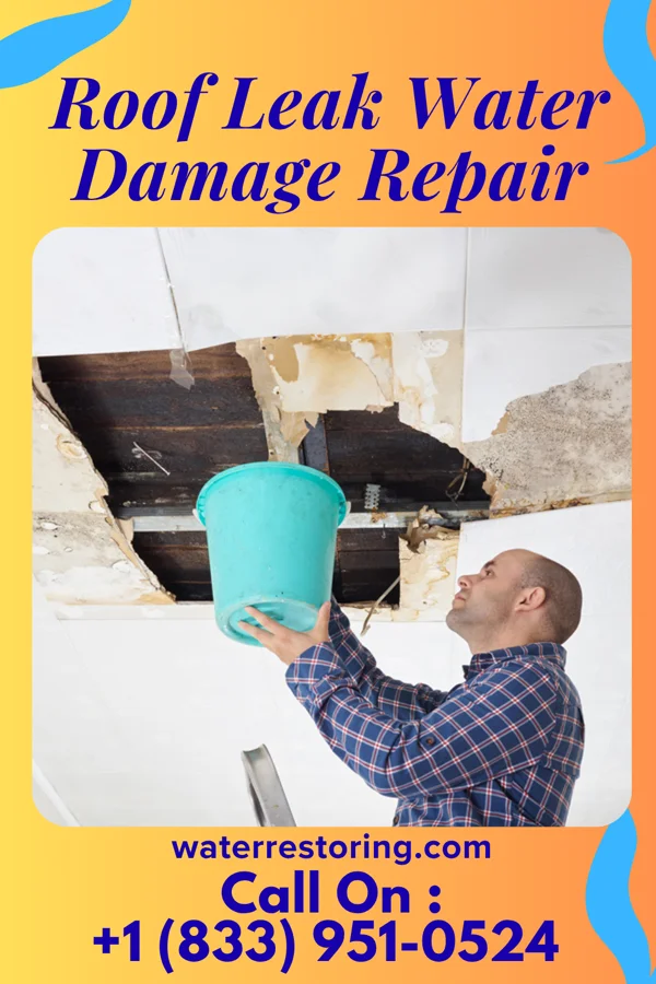 Roof Leak Water Damage Repair in Gem Lake, MN