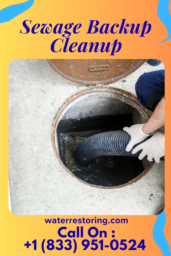 Sewage Backup Cleanup in Gem Lake, MN